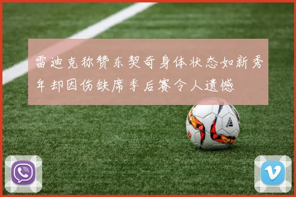 雷迪克称赞东契奇身体状态如新秀年却因伤缺席季后赛令人遗憾
