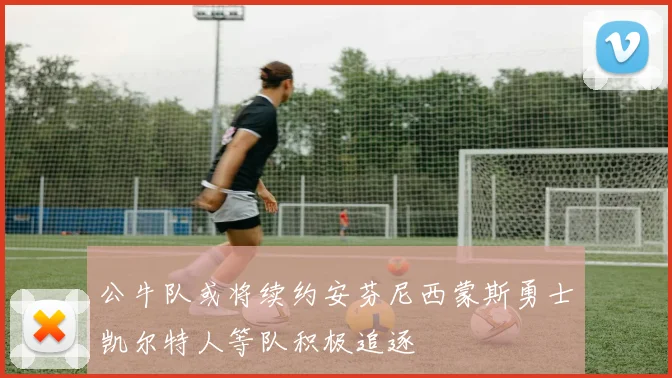 公牛队或将续约安芬尼西蒙斯勇士凯尔特人等队积极追逐